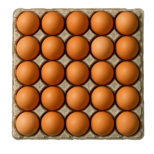 Eggs