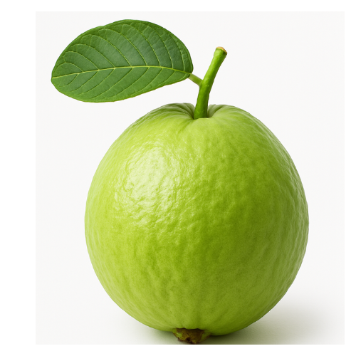 Thai Guava
