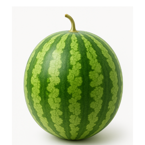 Kiran Watermelon