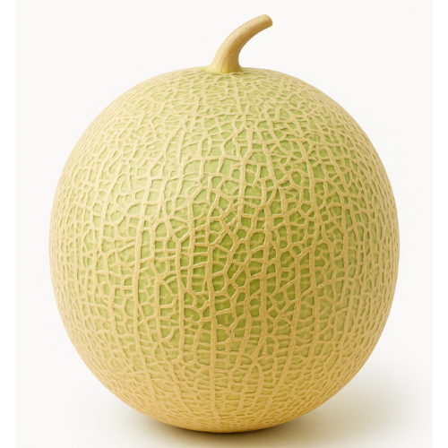 Muskmelon