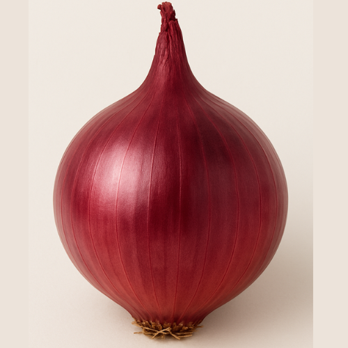 Onion