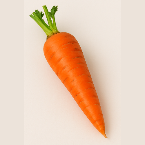 Carrot
