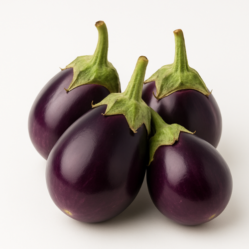 Brinjal Purple