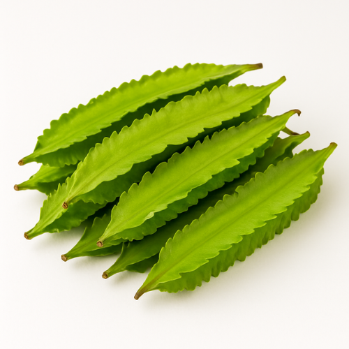 Goru Chikkudu