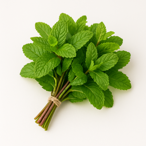Podina