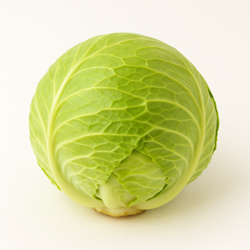 Cabbage