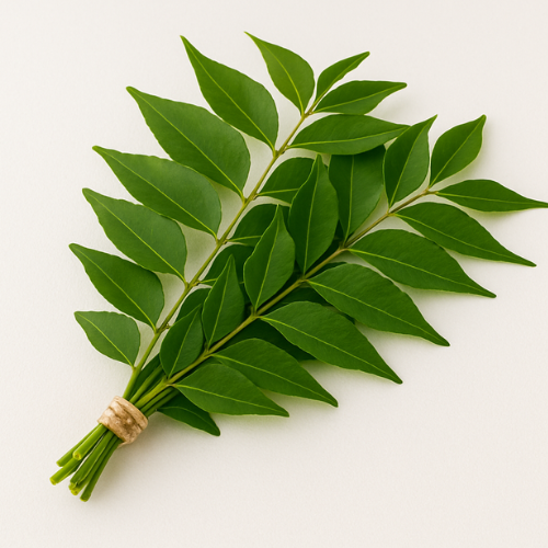 Curry Leaves